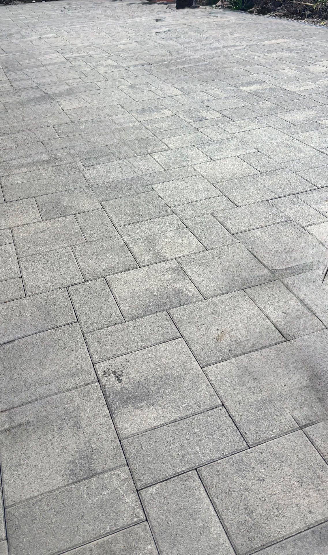 Paved Walkway Perfection in Sunnyvale