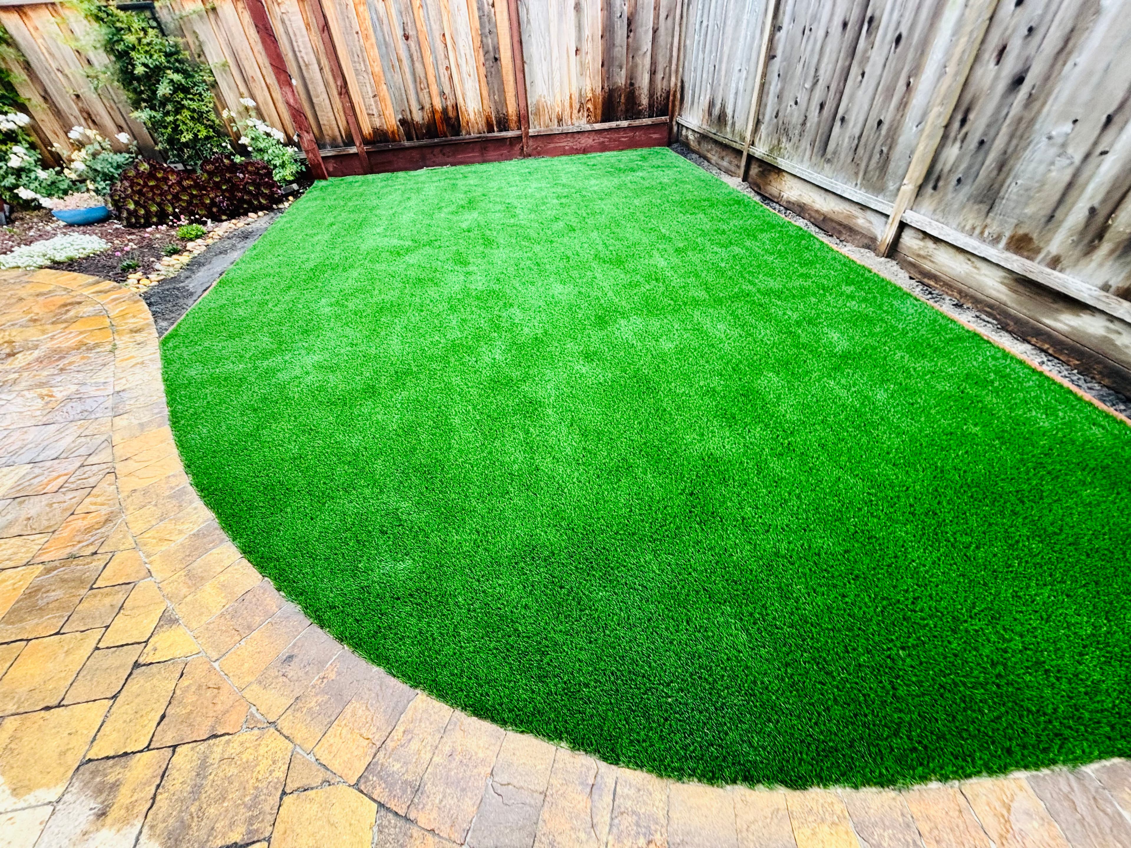 Project Synthetic Turf and Desert Planting Done Right image