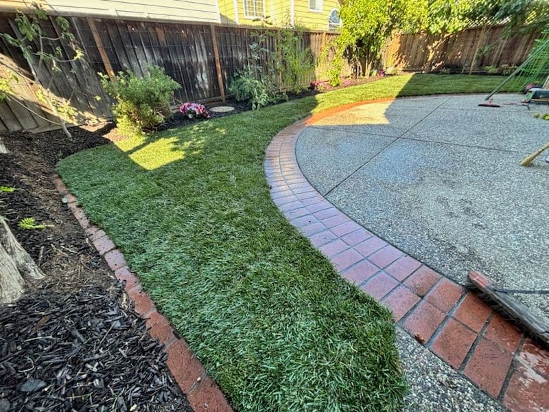 Backyard Transformation with New Lawn Installation image