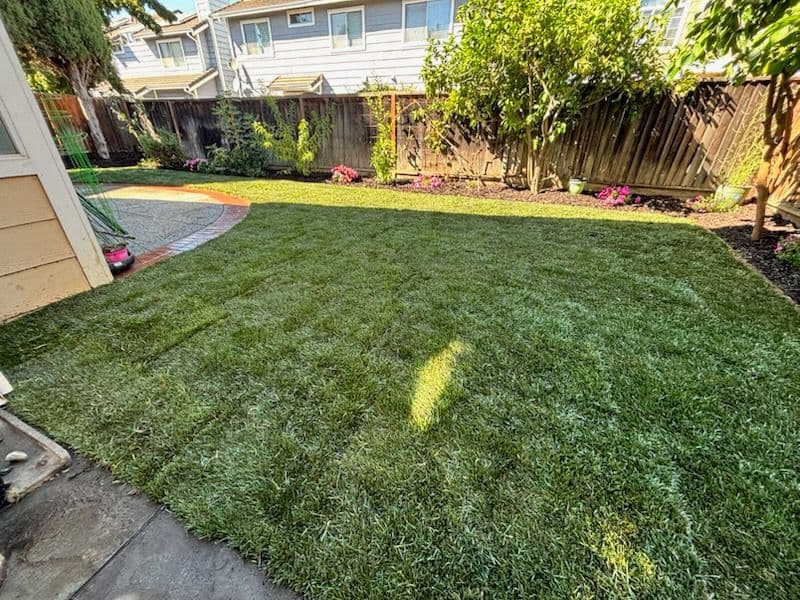 Gallery photos for Backyard Transformation with New Lawn Installation: Image #1