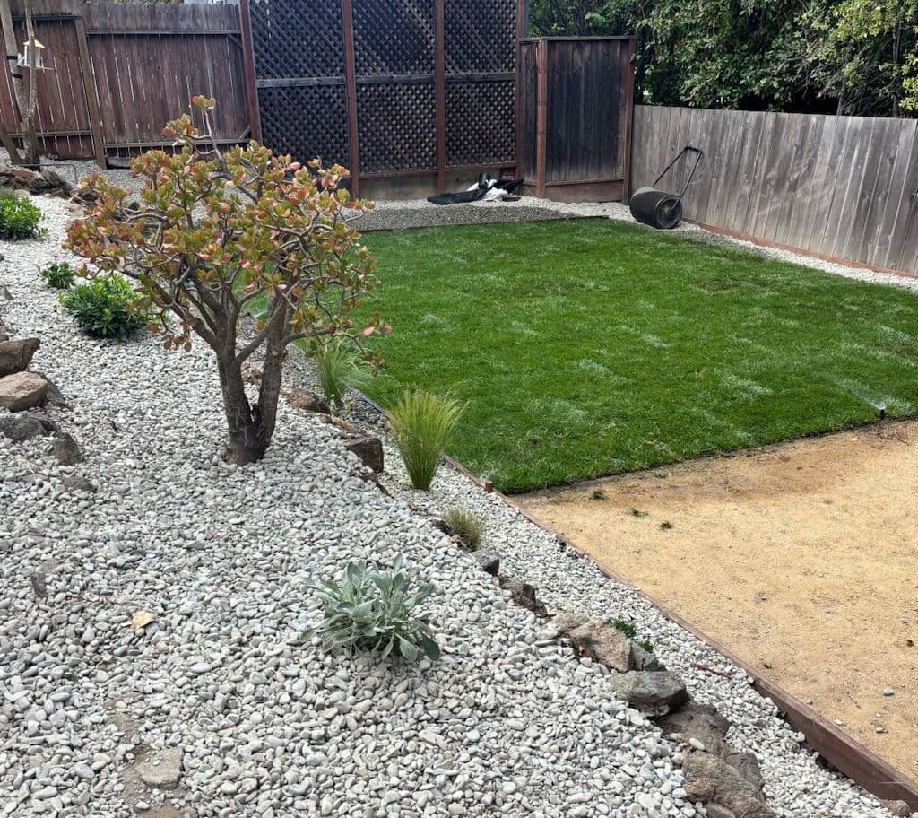 Revitalize Your Outdoor Space with Garescape image