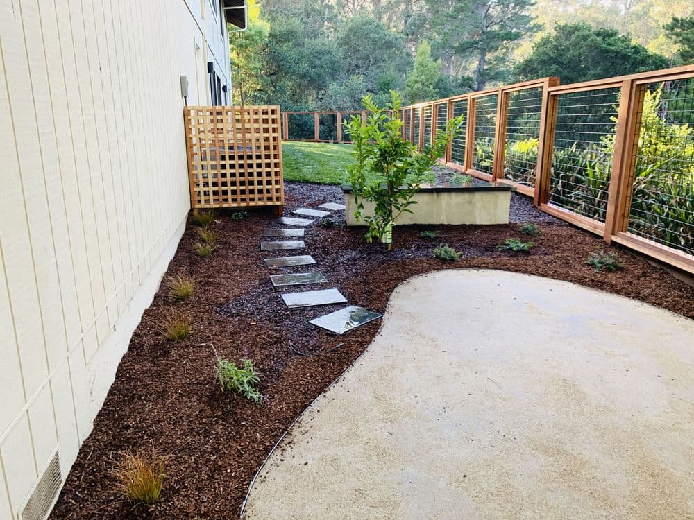 landscaped pathway with stepping stones, greenery, and wooden fencing in a garden setting