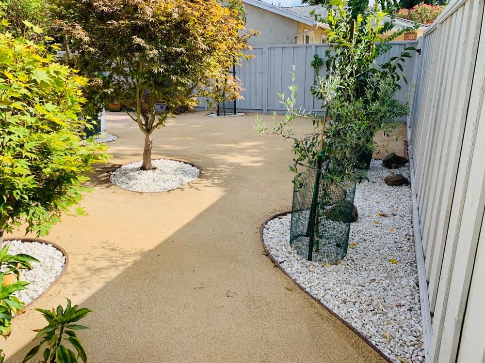 Lush garden pathway with decorative stones, trees, and a fenced plant area.