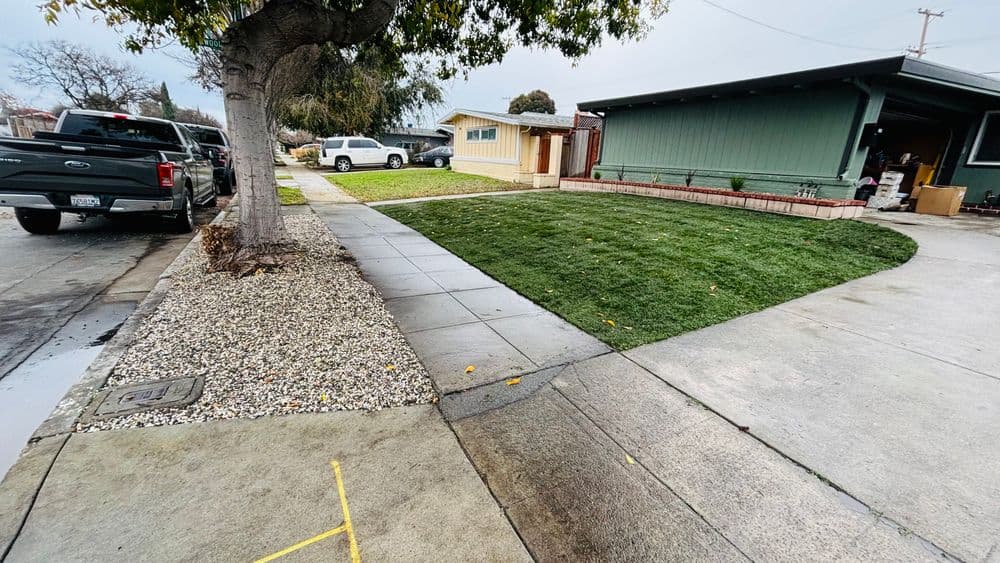 Residential neighborhood showing a well-maintained lawn, driveway, and sidewalk.