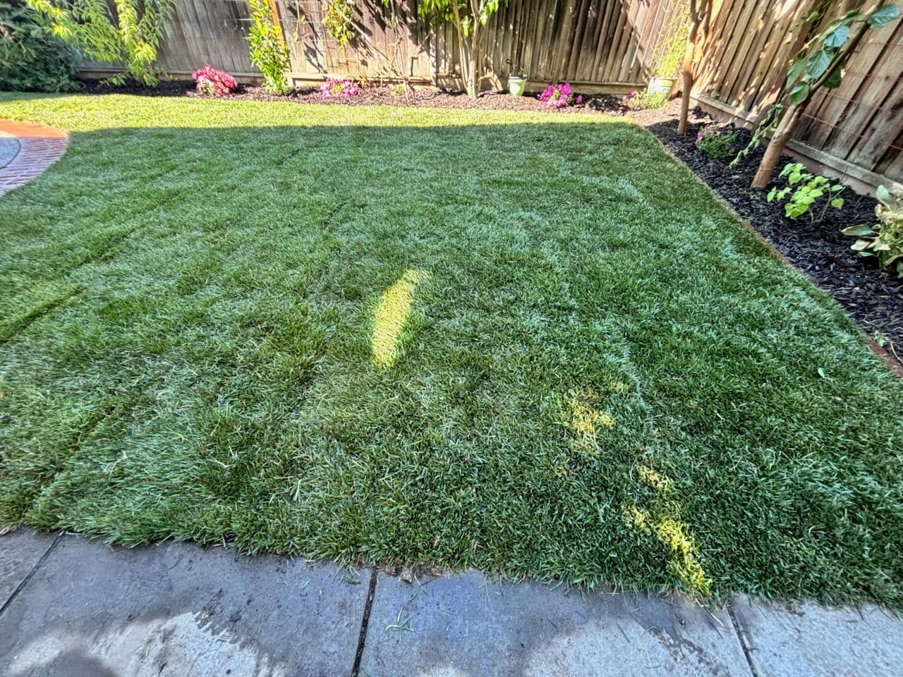 Fresh Lawn Installation in Your Neighborhood image