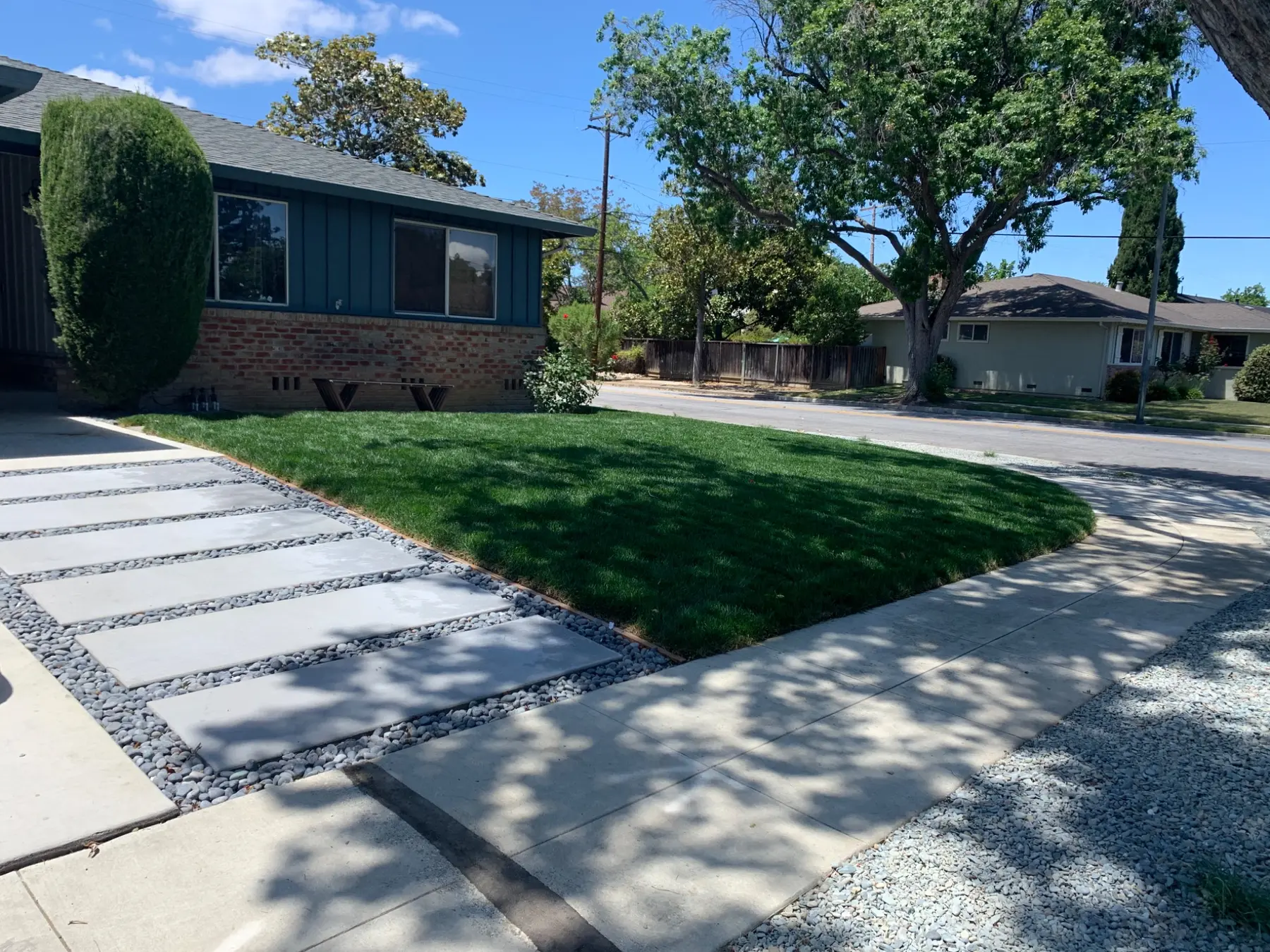 Natural lawn installed by Garescape in a Sunnyvale front yard